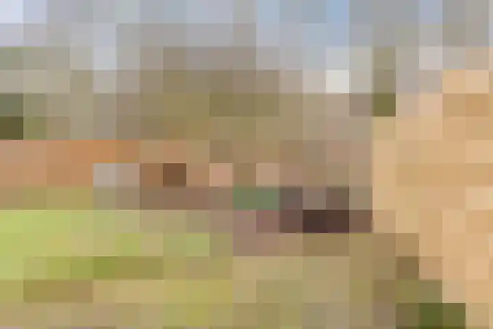 Leemveld 134 Assen thumbnail 31
