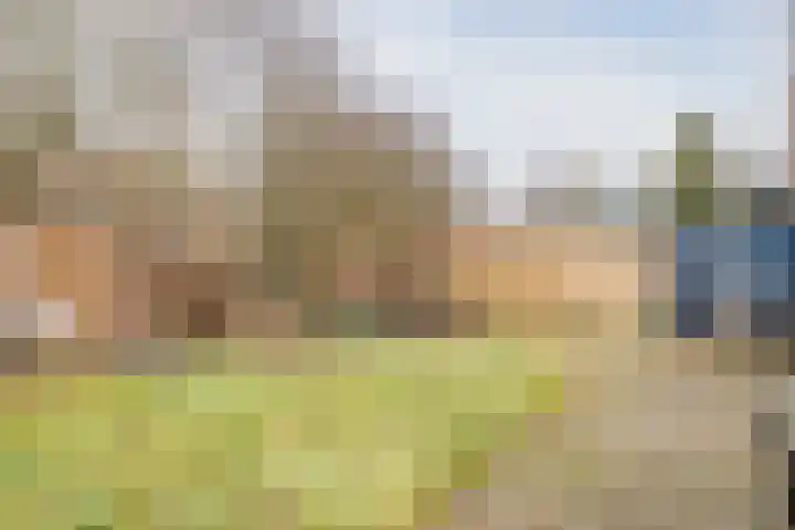 Leemveld 134 Assen thumbnail 32