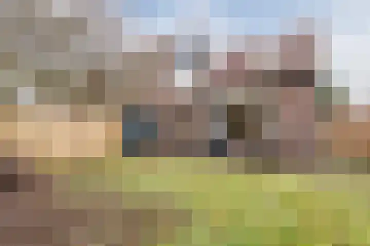 Leemveld 134 Assen thumbnail 33