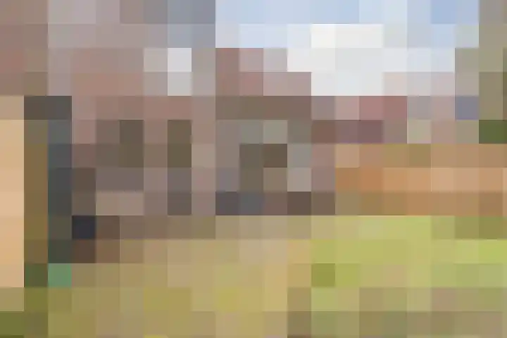 Leemveld 134 Assen thumbnail 34