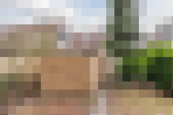 Leemveld 134 Assen thumbnail 35