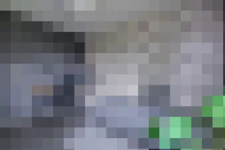Leemveld 150 Assen thumbnail 18