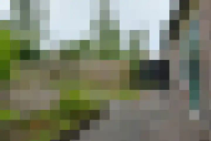 Leemveld 150 Assen thumbnail 28