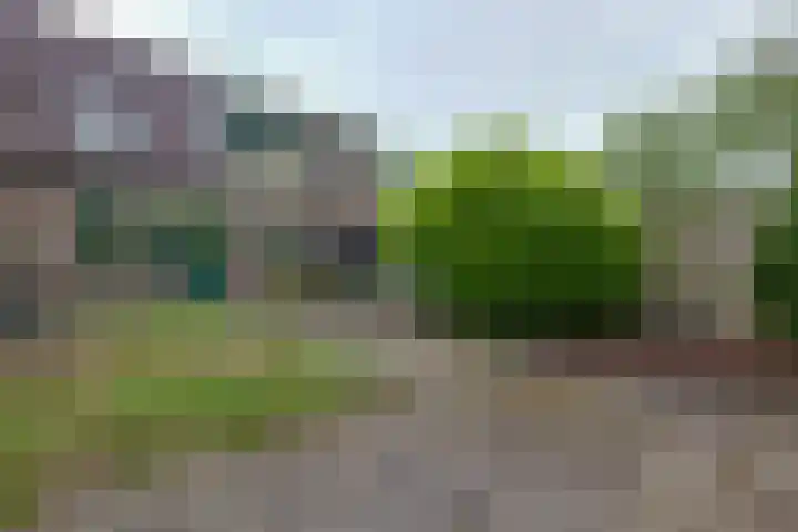 Leemveld 150 Assen thumbnail 30