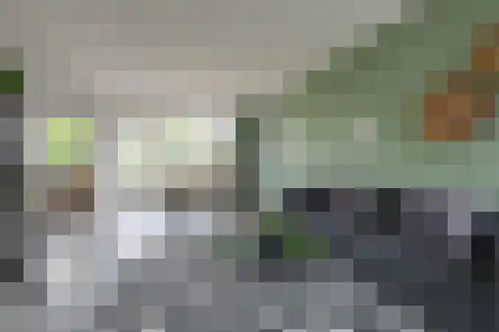 Leemveld 150 Assen thumbnail 5