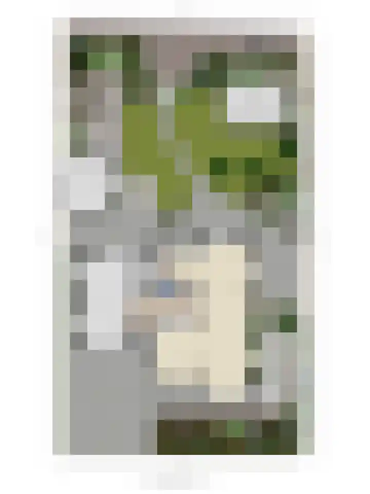 Leemveld 24 Assen thumbnail 16