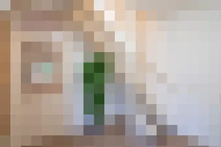 Leemveld 24 Assen thumbnail 17