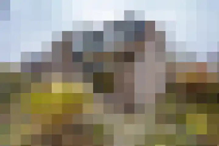 Leemveld 24 Assen thumbnail 25