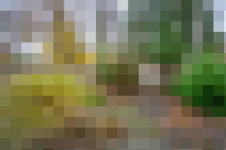 Leemveld 24 Assen thumbnail 27