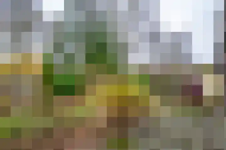Leemveld 24 Assen thumbnail 29