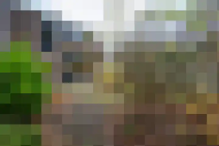 Leemveld 24 Assen thumbnail 30