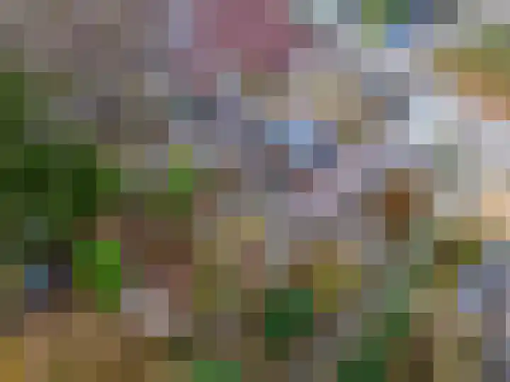 Leemveld 24 Assen thumbnail 32