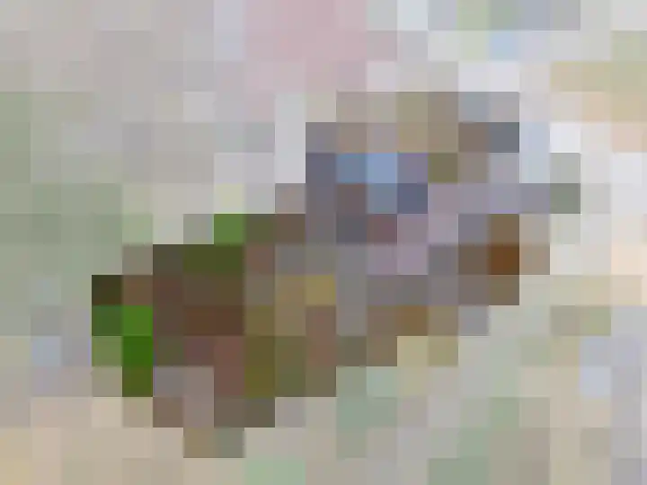 Leemveld 24 Assen thumbnail 33