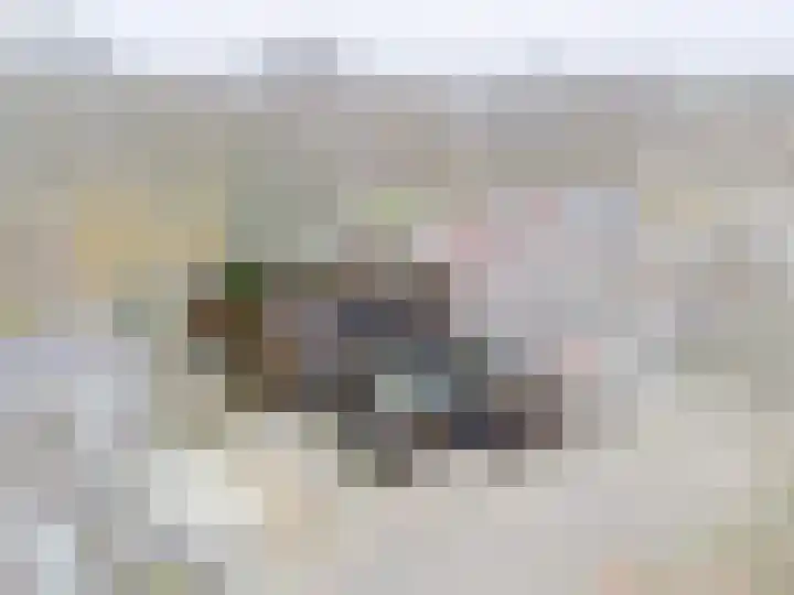 Leemveld 24 Assen thumbnail 35