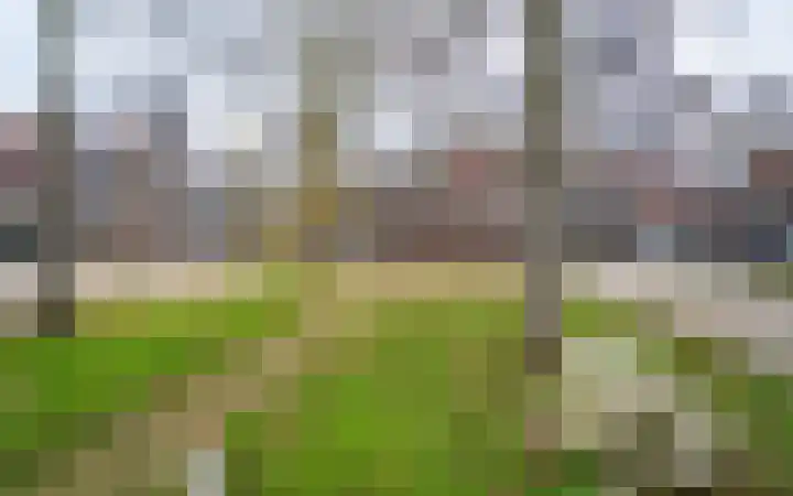 Leemveld 24 Assen thumbnail 36