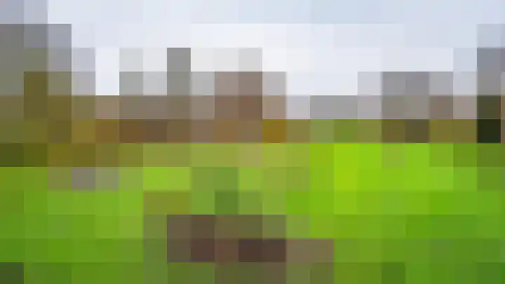 Leemveld 24 Assen thumbnail 37