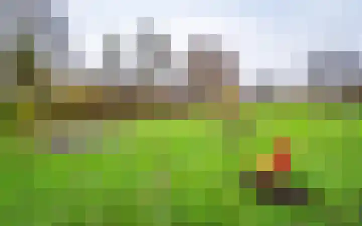 Leemveld 24 Assen thumbnail 38
