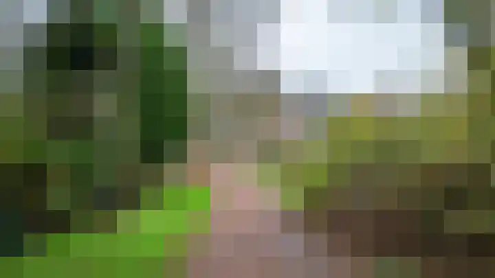Leemveld 24 Assen thumbnail 39