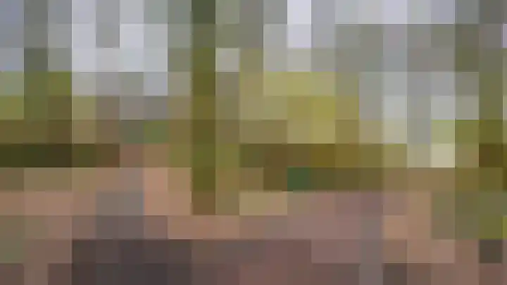 Leemveld 24 Assen thumbnail 40