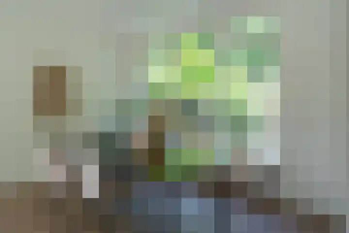 Leemveld 62 Assen thumbnail 9