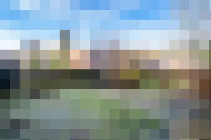 Leemveld 76 Assen thumbnail 14