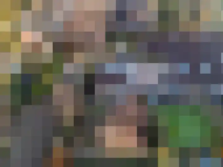 Leemveld 76 Assen thumbnail 32