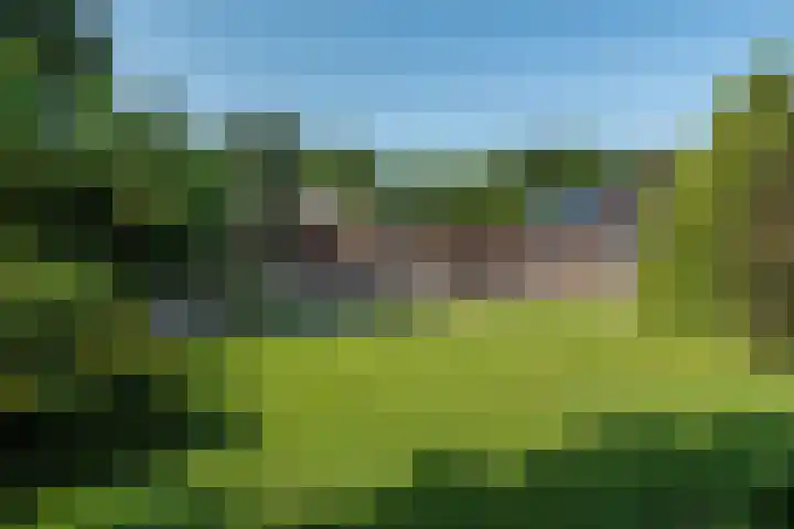 Leemweg 1 Steggerda thumbnail 41