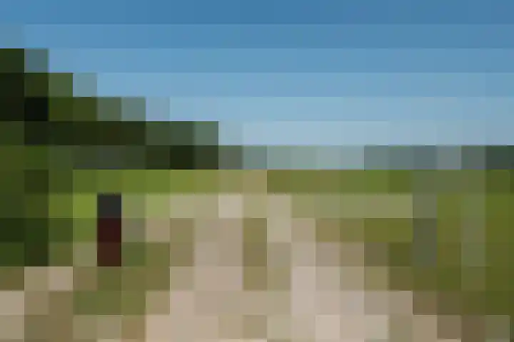 Leemweg 1 Steggerda thumbnail 45