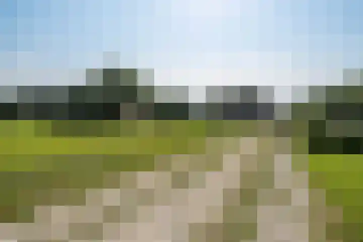 Leemweg 1 Steggerda thumbnail 46
