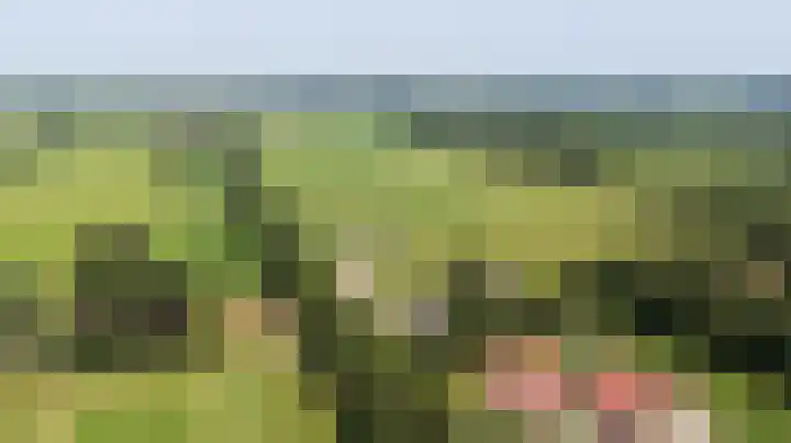 Leemweg 1 Steggerda thumbnail 60