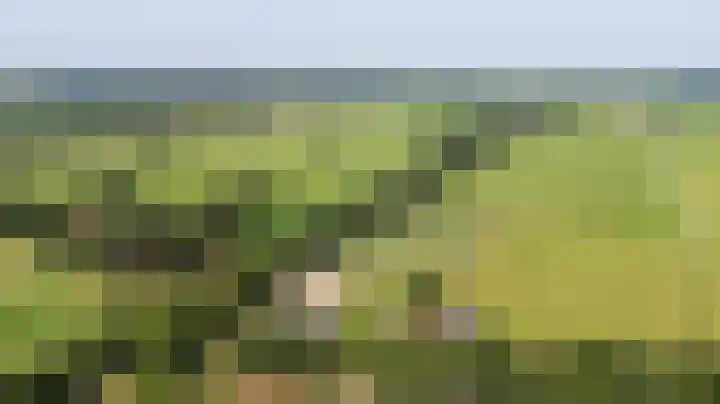 Leemweg 1 Steggerda thumbnail 61