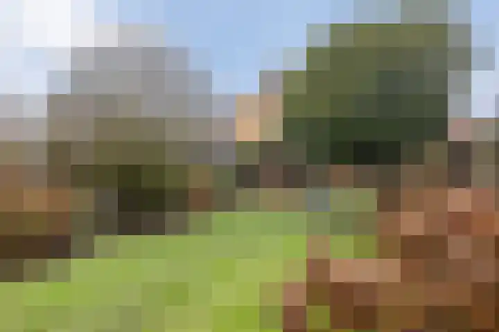 Leemweg 37 Wijchen thumbnail 29