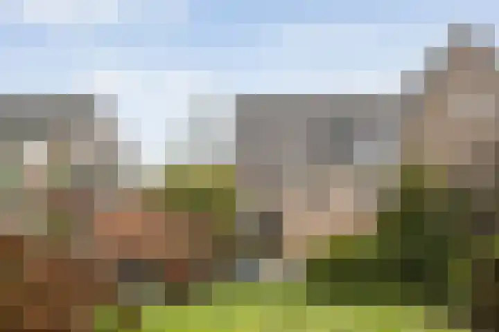 Leemweg 37 Wijchen thumbnail 30