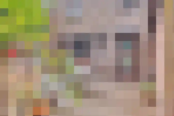 Leemweg 66 Wijchen thumbnail 18