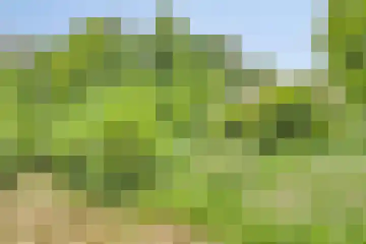 Leemweg 66 Wijchen thumbnail 24