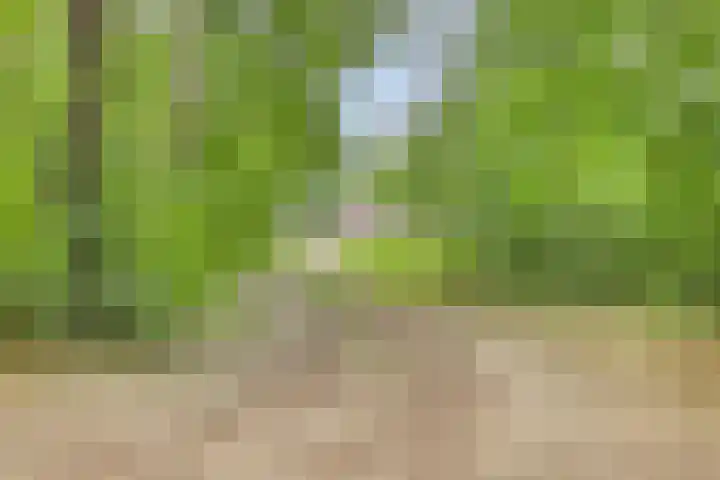 Leemweg 66 Wijchen thumbnail 26
