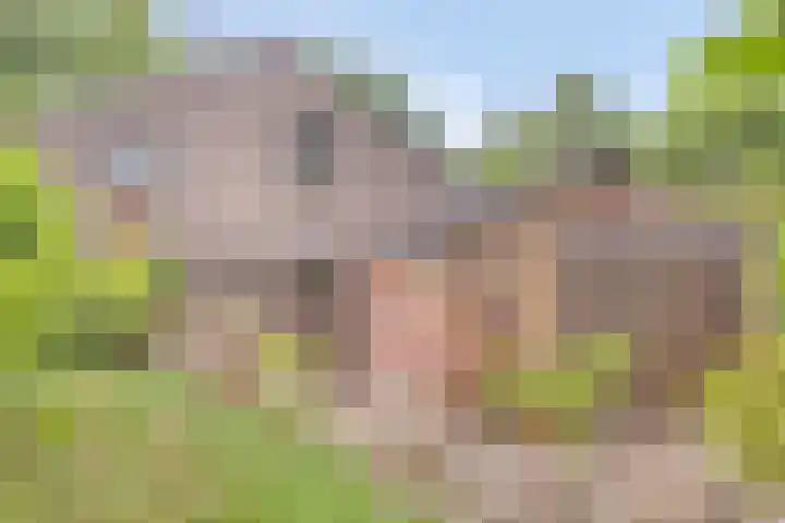 Leemweg 66 Wijchen thumbnail 32
