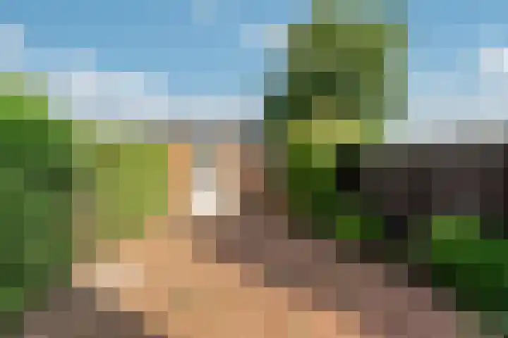 Leemwierde 148 Almere thumbnail 30
