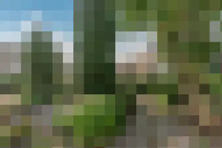 Leemwierde 148 Almere thumbnail 32