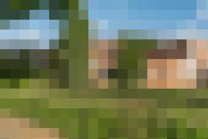 Leemwierde 148 Almere thumbnail 35