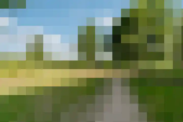 Leemwierde 148 Almere thumbnail 39