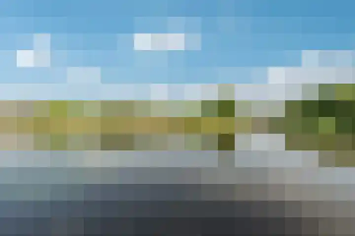 Leemwierde 148 Almere thumbnail 41