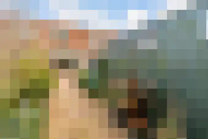 Leemwierde 197 Almere thumbnail 37
