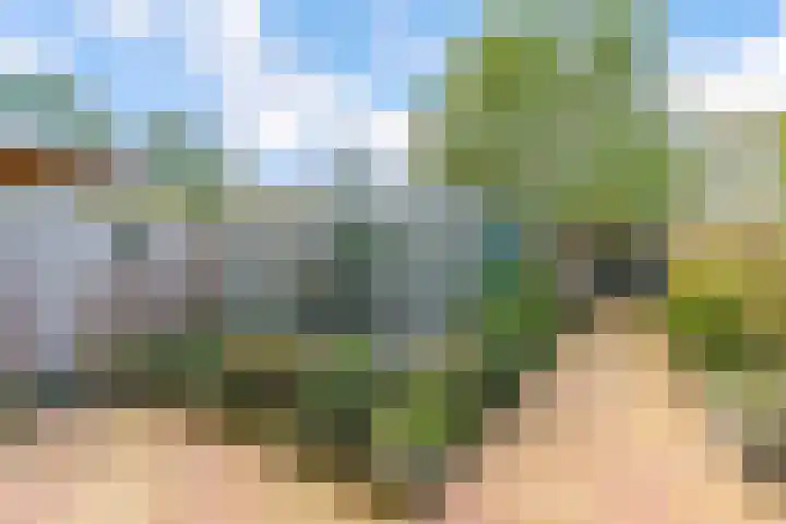 Leemwierde 197 Almere thumbnail 4
