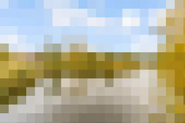Leemwierde 197 Almere thumbnail 49