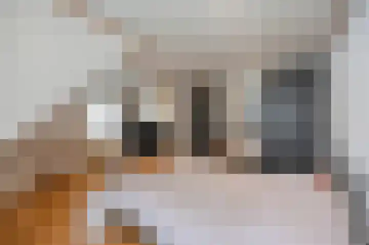 Leenakker 2 Swalmen thumbnail 23