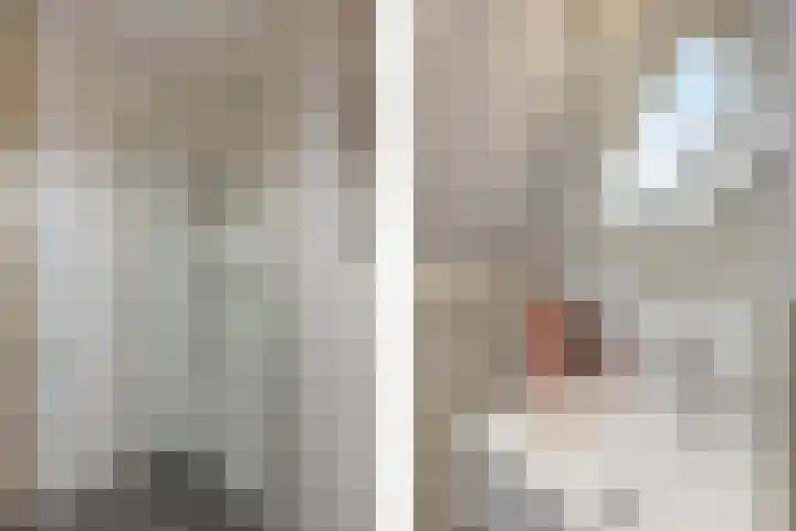 Leenakker 2 Swalmen thumbnail 29