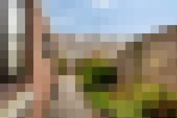 Leendert Spaanderlaan 63 Volendam thumbnail 17