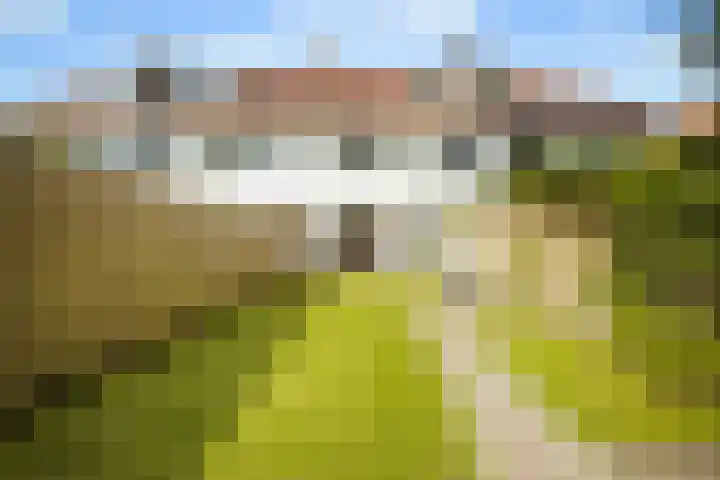 Leenderweg 235 Eindhoven thumbnail 34