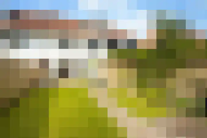 Leenderweg 235 Eindhoven thumbnail 35